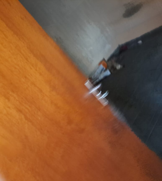 C3678 5.jpg